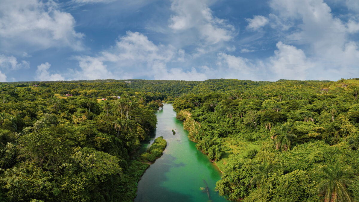 Aerial view of winding Amazon river surrounded by dense green rainforest canopy Brazil