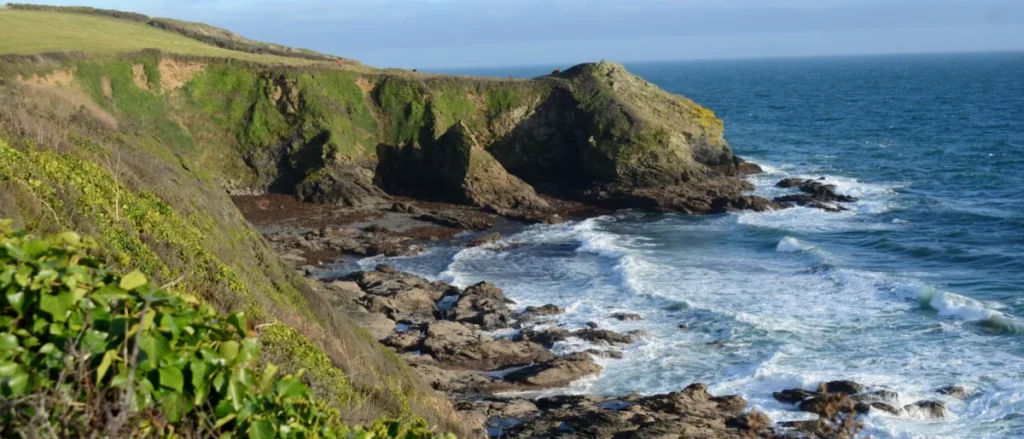 Day Trips for Foraging Coastal Edibles like Sea Fennel