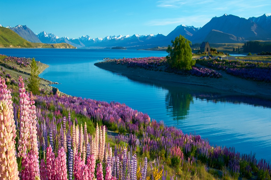 Fiordland