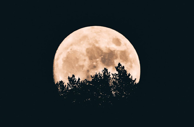 Preparing for a Transformational Moon Line Journey