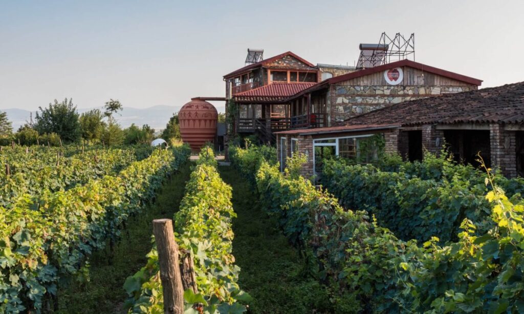 Ikalto Hidden Wineries
