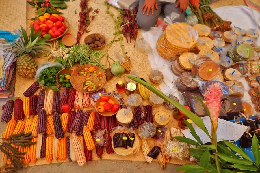 Oaxaca Ancestral Food Experience with Local Producers