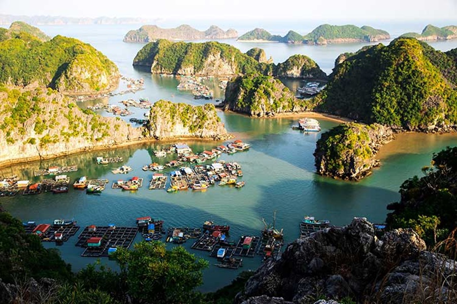 Oldest Floating Village Tour in Cai Beo
