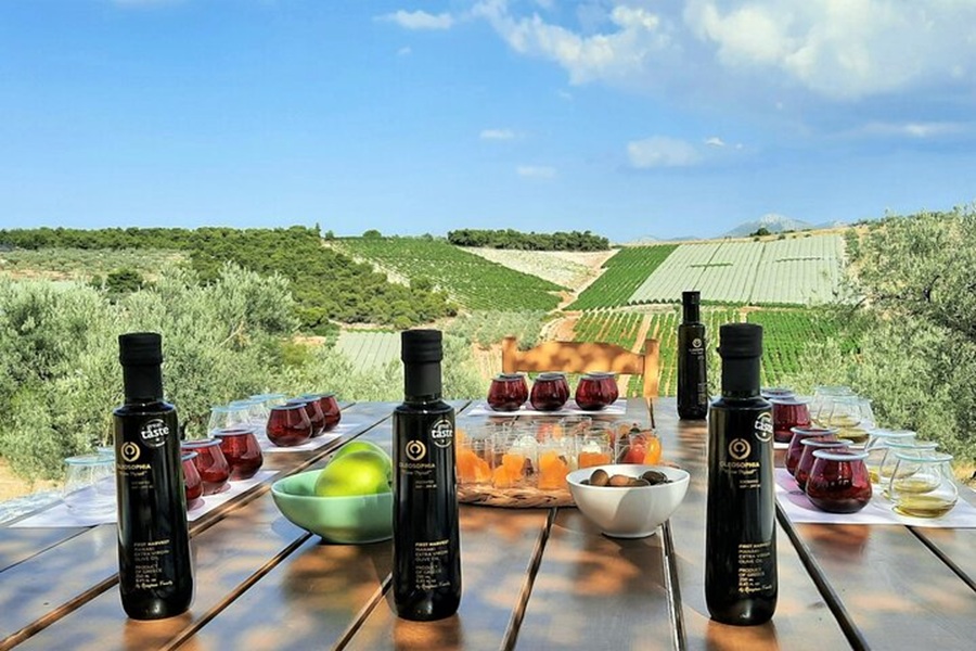 Olive Grove Tours and Olive Oil Tasting Experiences