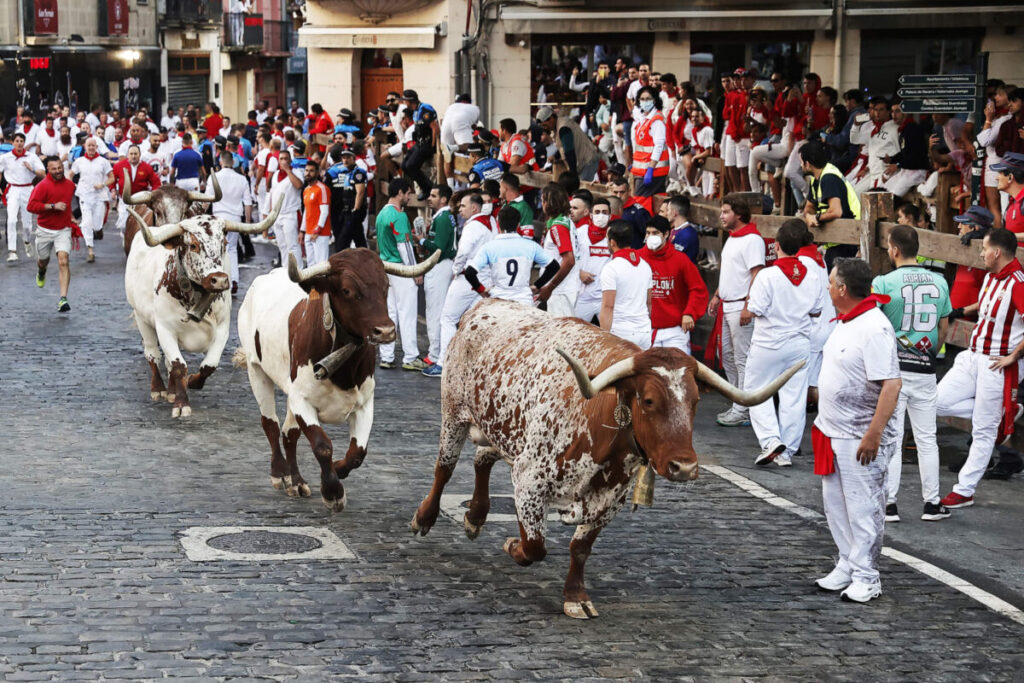 Pamplona Bull Run Streets