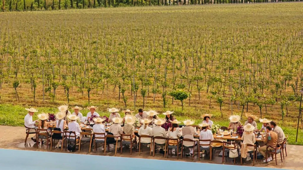 Remote Kakheti Vineyard Experience