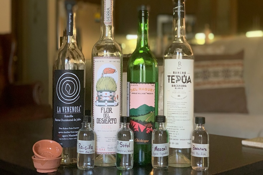 Tasting Regional Mezcal Varieties in Local Distilleries
