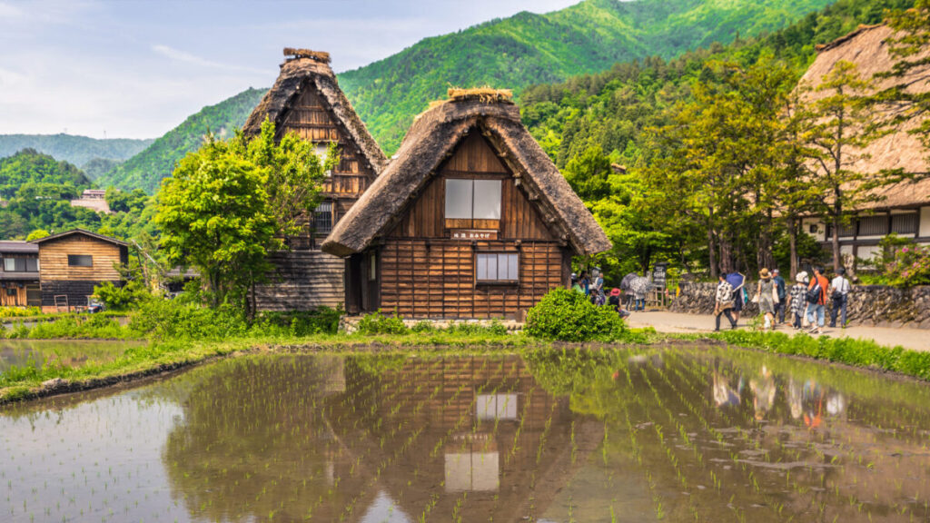 Tips for Responsible and Respectful Visits