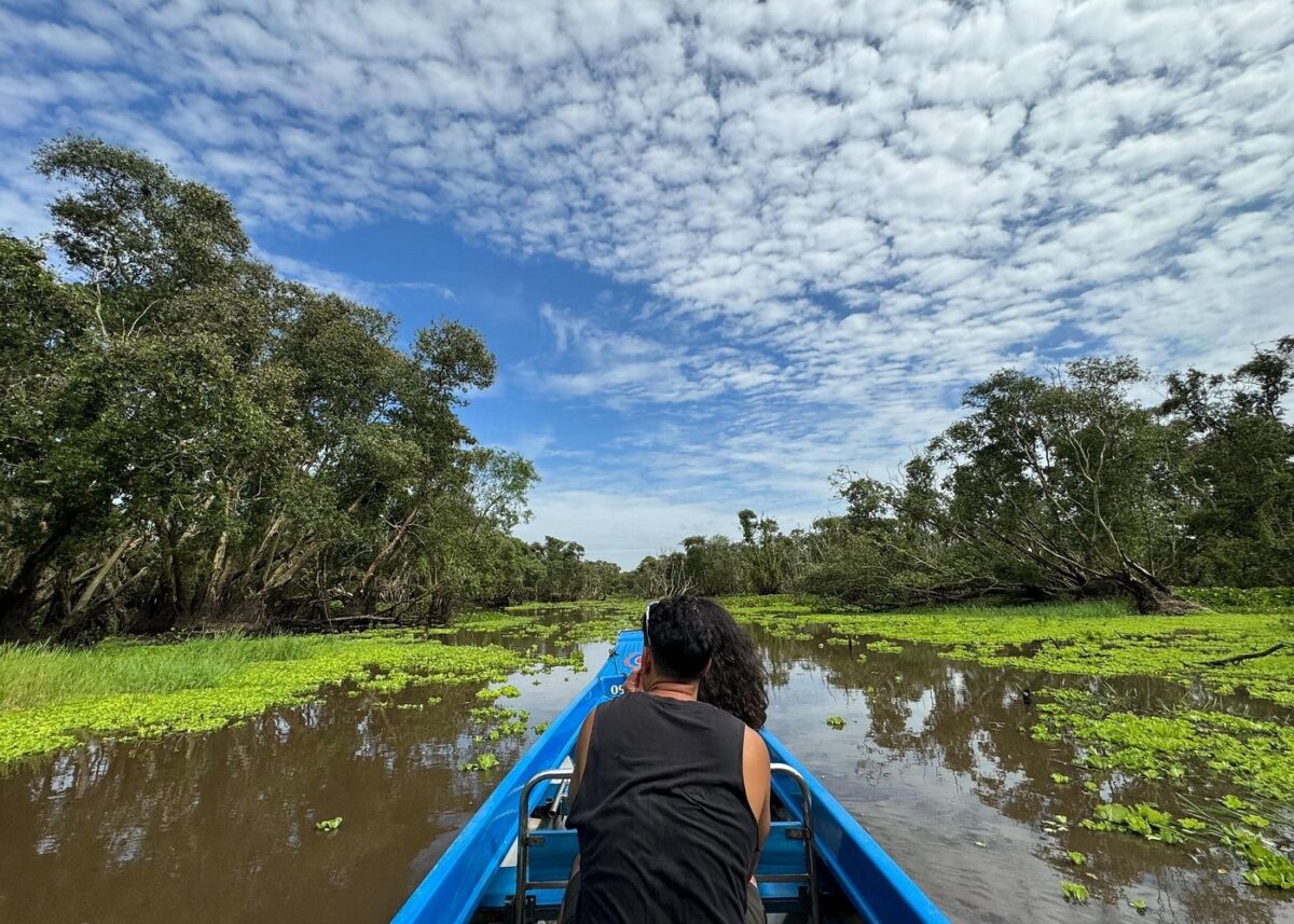 Tra Su Cajuput Forest