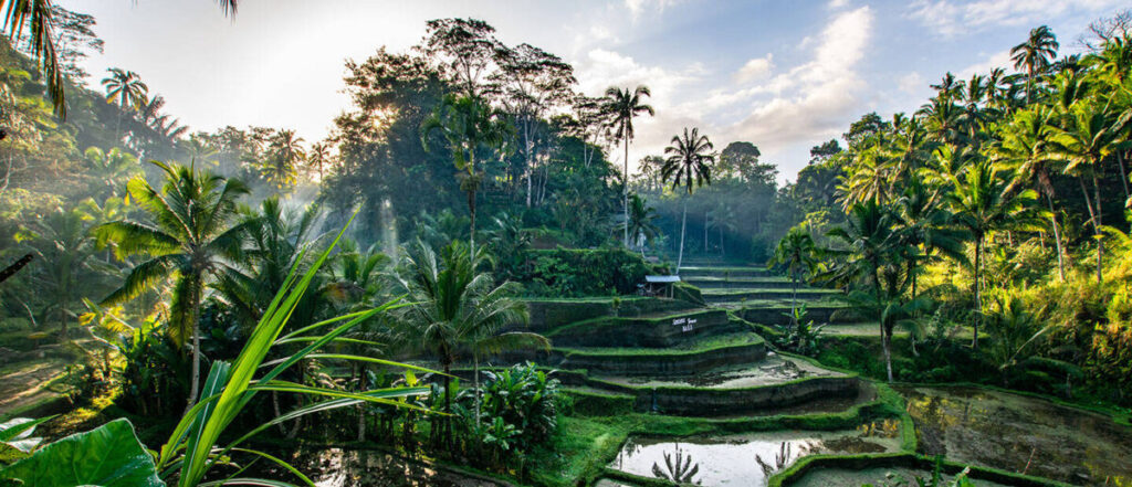 Ubud, Bali