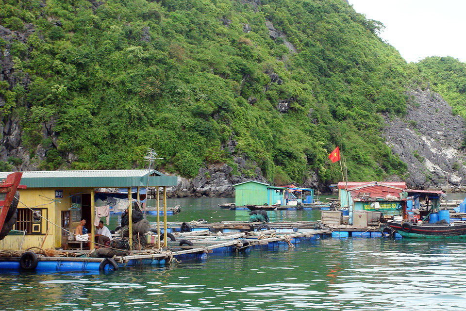 What To Expect On A Floating Seafood Farm Tour