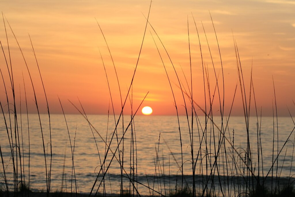 Amelia Island Sunrise