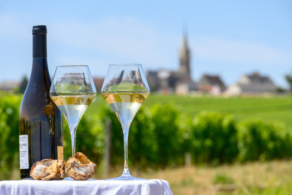 Wine glasses and vineyard appellations map showcasing Burgundy's complex classification system
