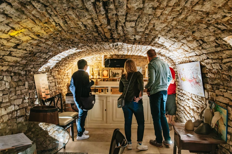 Wine expert conducting a tasting session in a historic Burgundy cellar with ancient stone walls