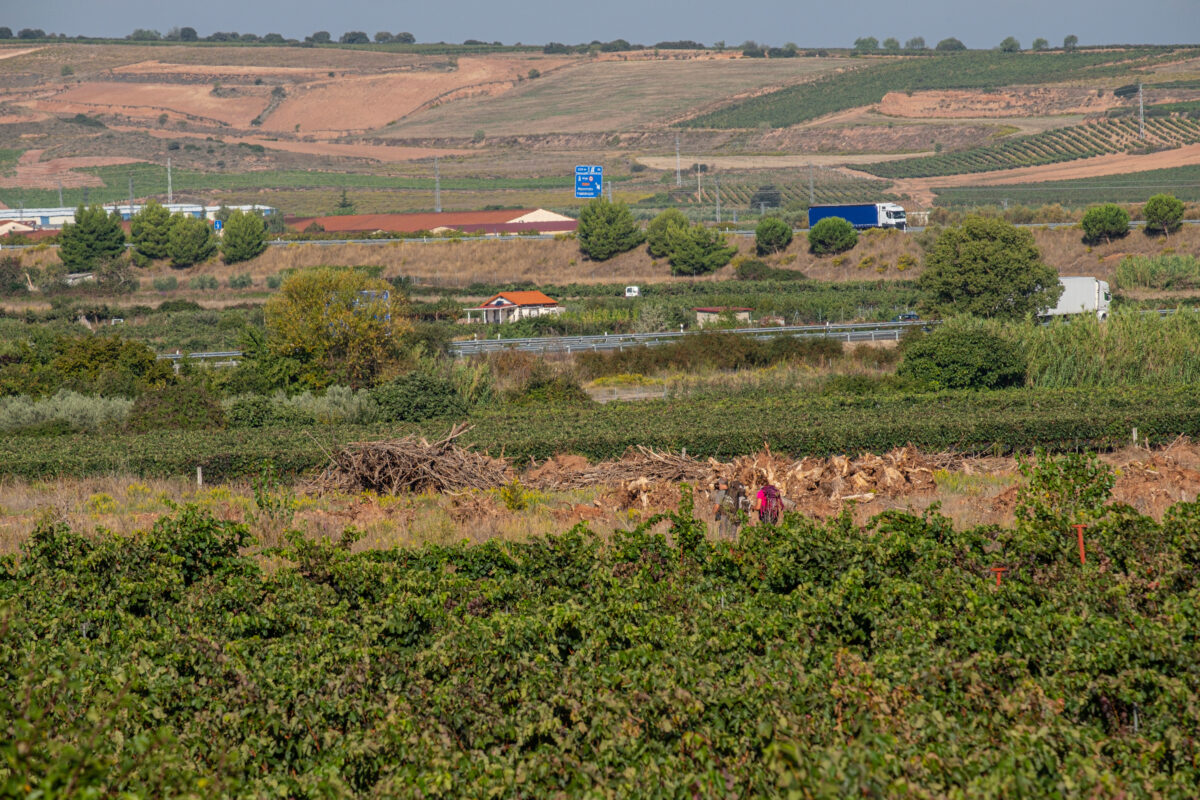 El camino de Santiago, Navarrete, La Rioja, Spain