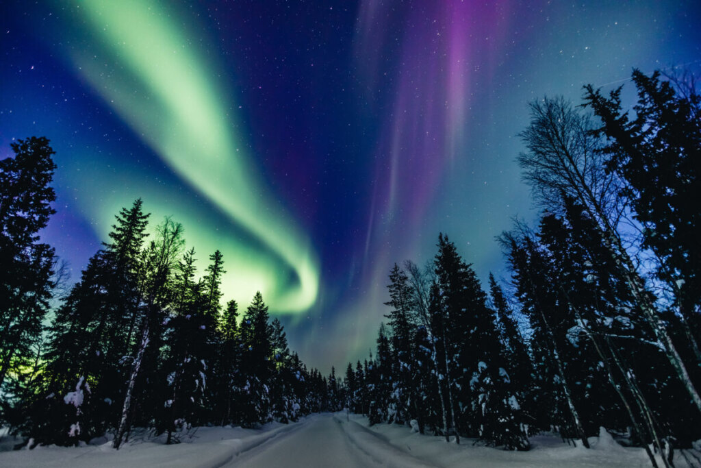 Panoramic view of the trees and the Aurora Borealis in Finland