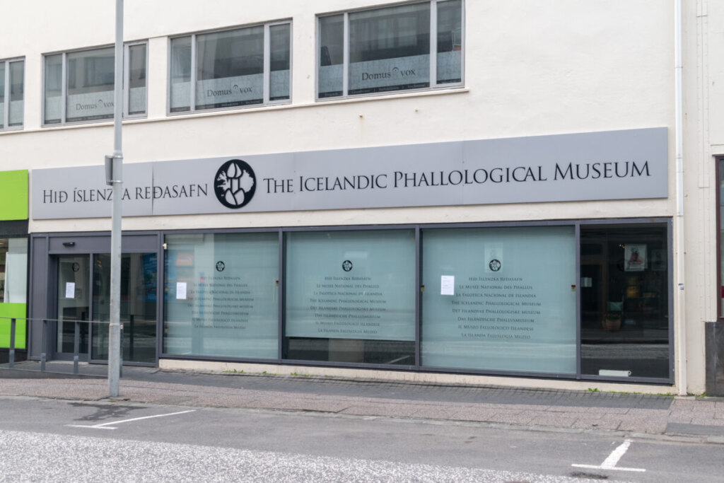The Icelandic Phallological Museum.
