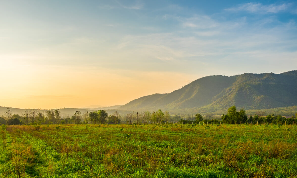 Misty morning landscape over Khao Yai National Park mountains