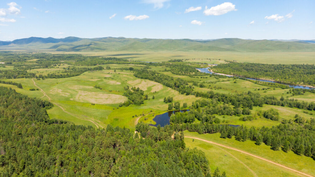 Top aerial panoramic view of green fields and meadows in summer Mongolia.