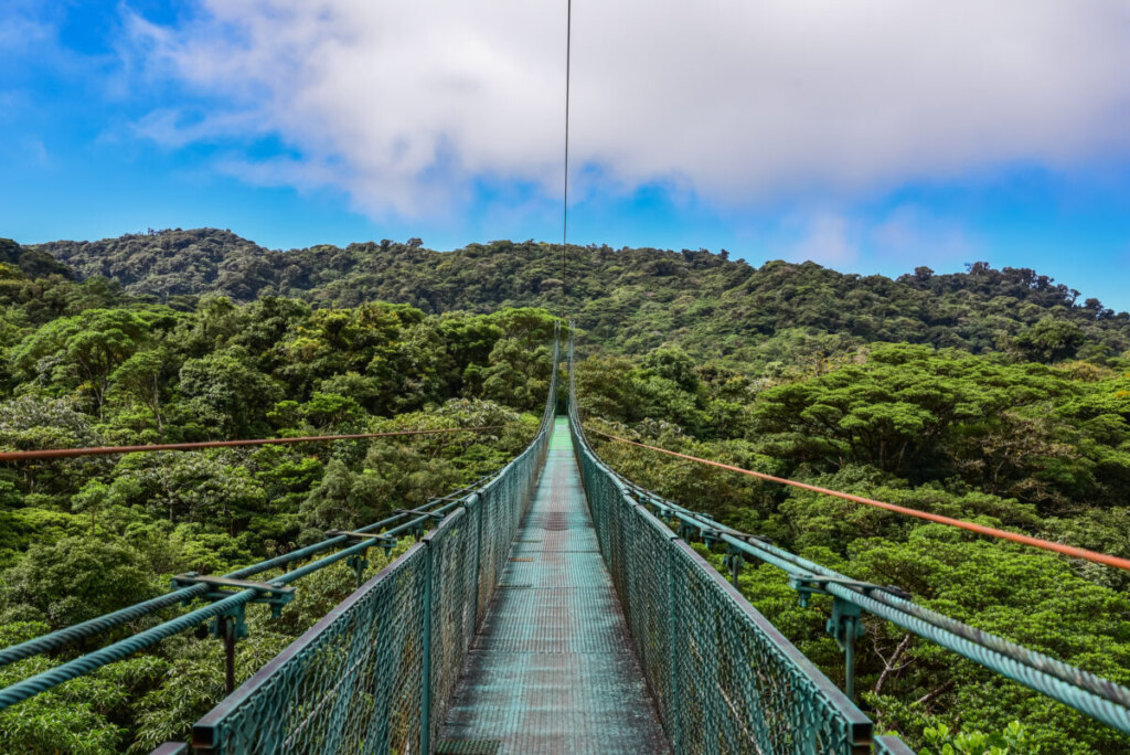 Hanging Bridges in Monteverde Cloud Forest Reserve , Costa Rica