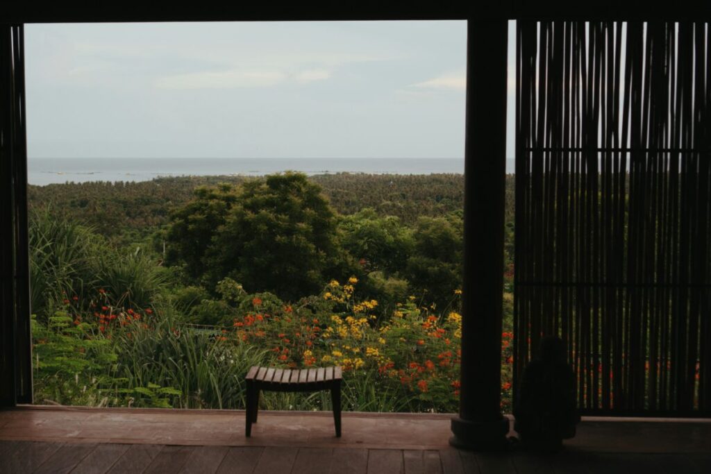 Deciding on Location and Environment