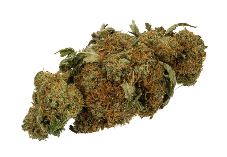 Can You Bring Weed on a Plane? TSA Rules and Regulations Explained.